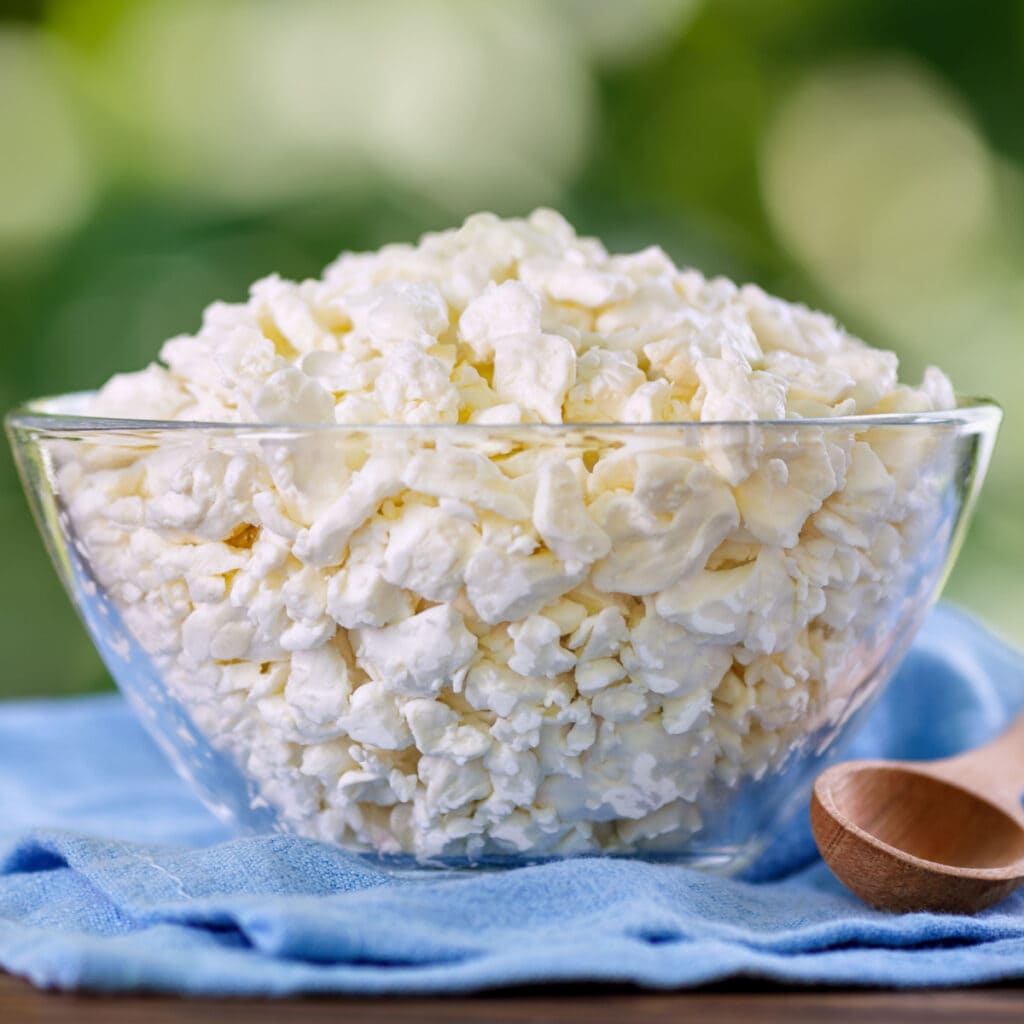 A Heap of Cottage Cheese on a Clear Bowl