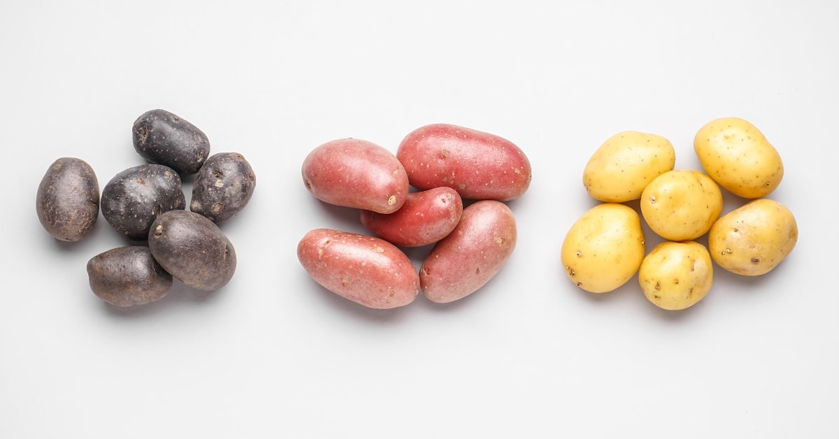Different Raw Organic Potatoes on a White Background