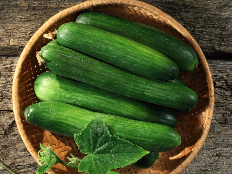 Bunch of Diva Cucumbers in a Bamboo Basket