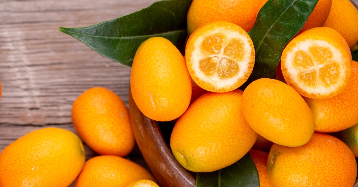 Fresh Organic Orange Kumquat