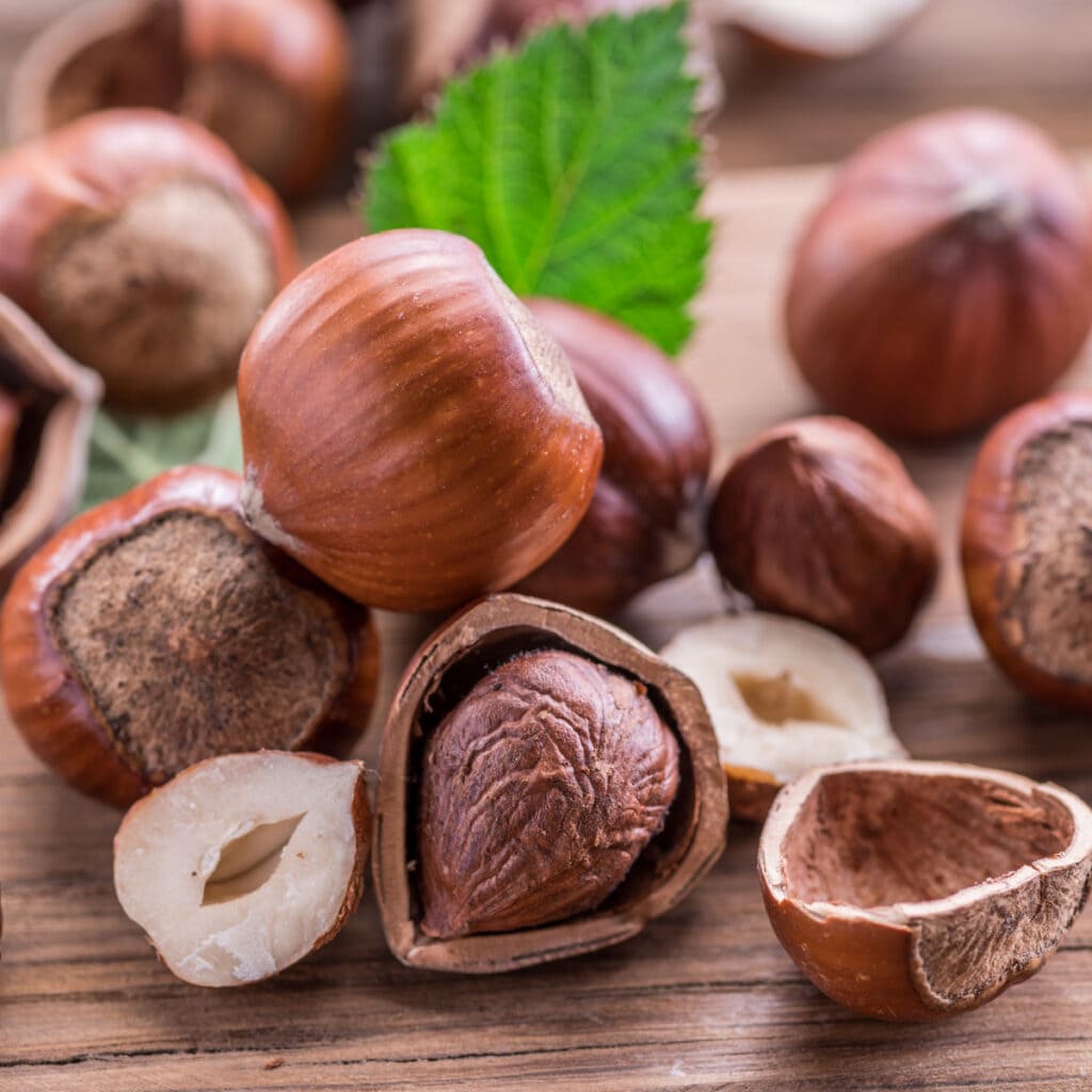 Bunch of Hazelnuts on a Wooden Table