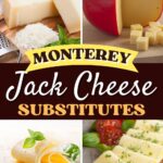 Monterey Jack Cheese Substitutes