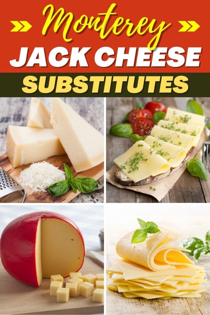 Monterey Jack Cheese Substitutes