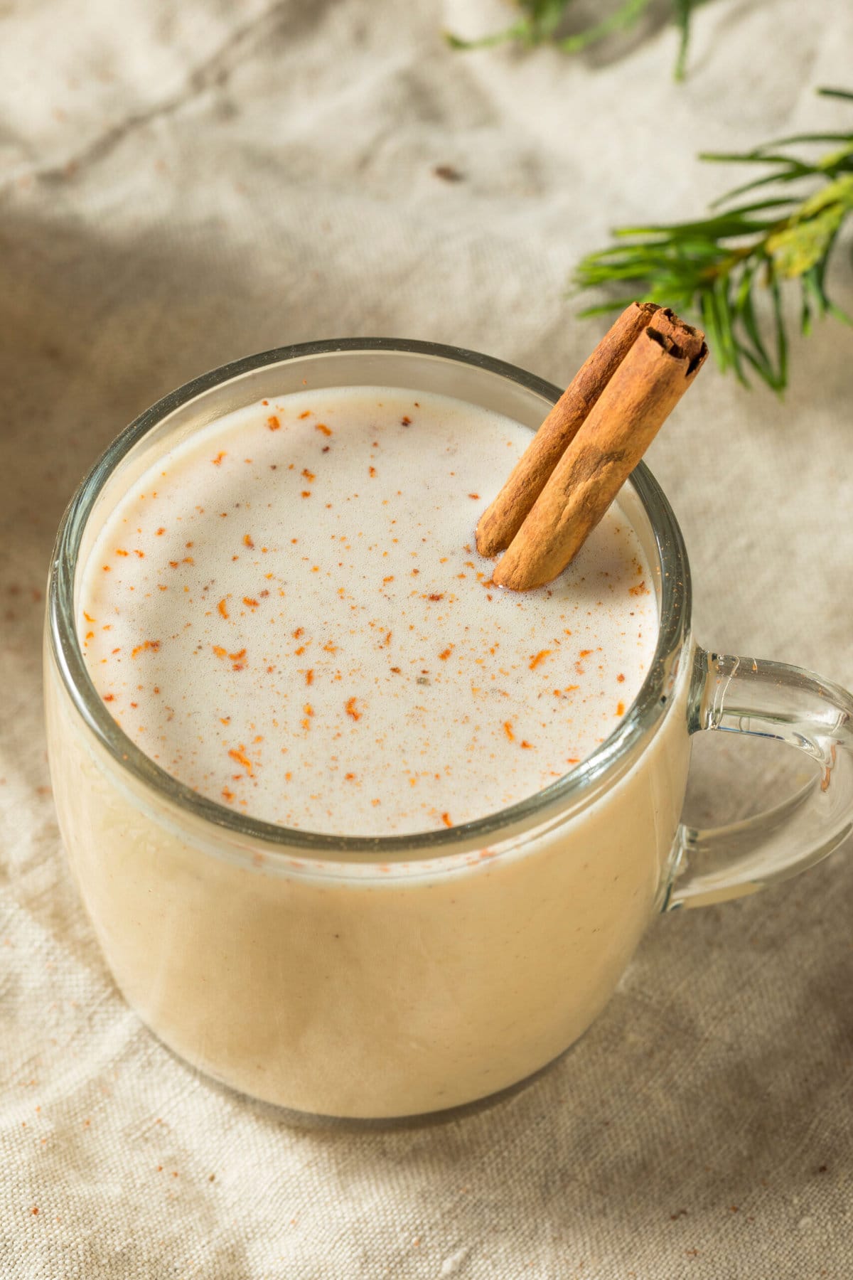 Coquito served in a mug glass topped with cinnamon sticks and powder.