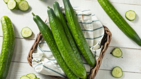 Raw Organic Green Cucumber
