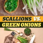 Scallions vs. Green Onions