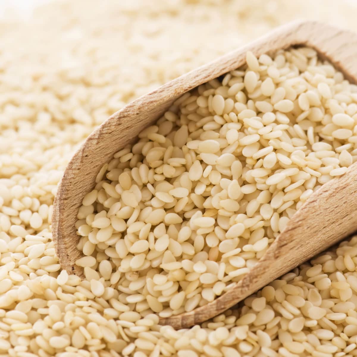 10 Best Substitutes for Pine Nuts (+ NutFree Options) Insanely Good