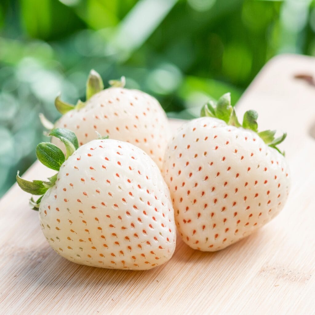 Three Fresh White Strawberries on a Wooden Board