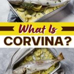 What Is Corvina?