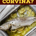 What Is Corvina?