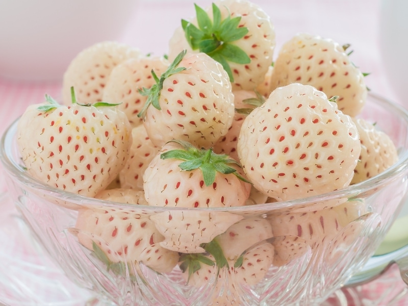 Ripe White Strawberries on a Glass Bowl