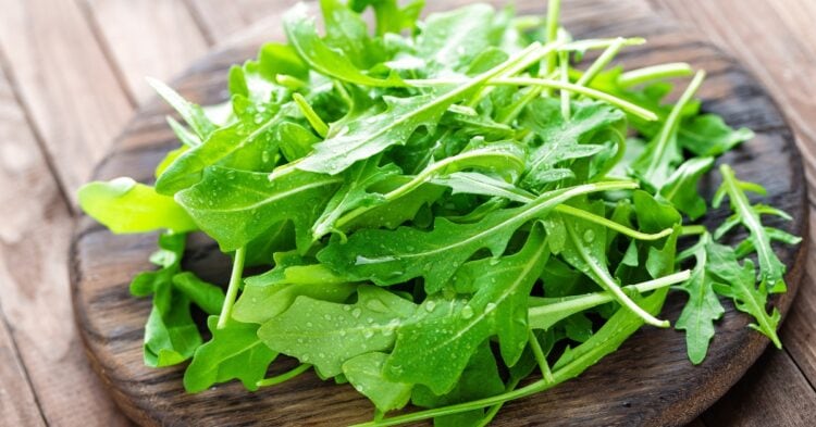 25 Best Arugula Recipes - Insanely Good