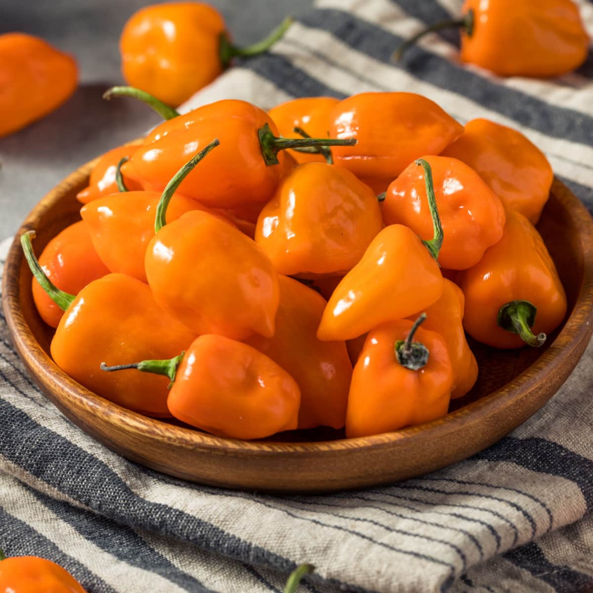 Bunch of Habanero Peppers in a Wooden Bowl