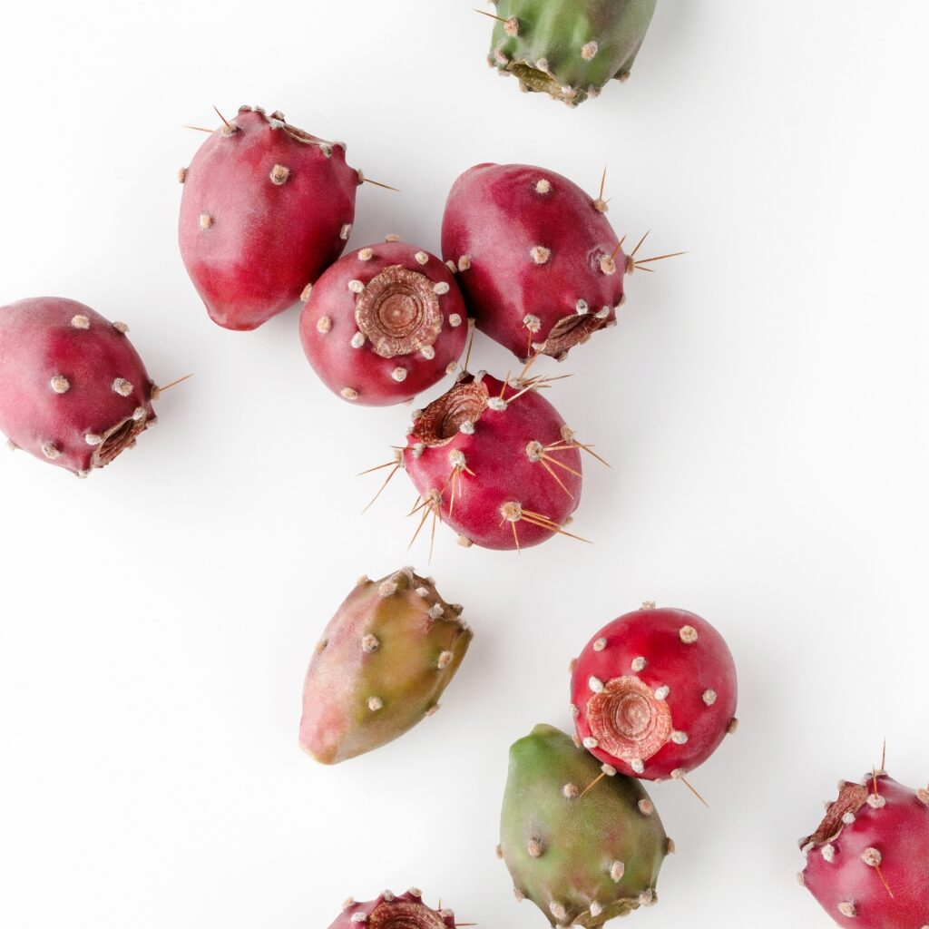 What is a Prickly Pear? (+ How to Eat It) featuring Raw Organic Prickly Pears on a White Background
