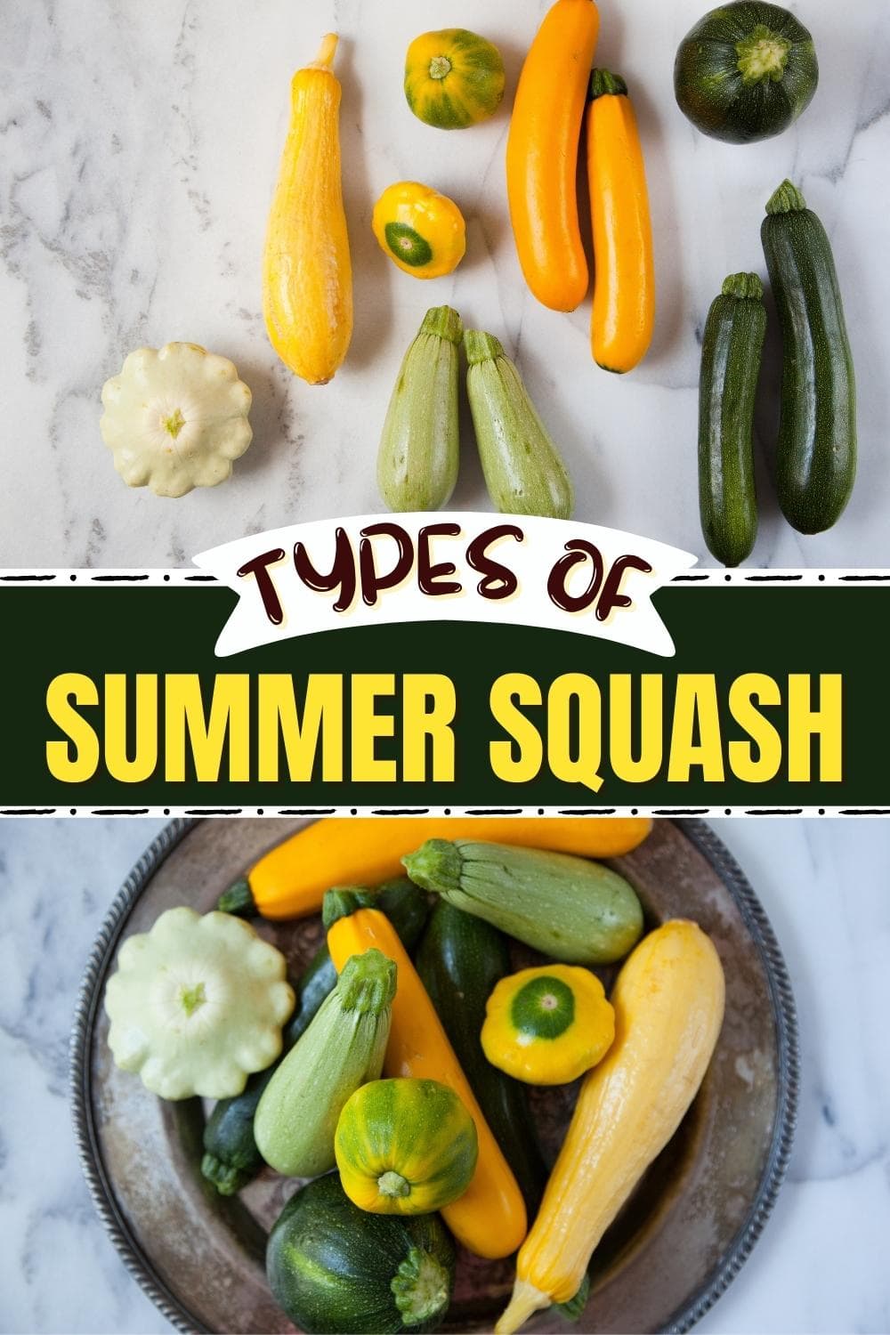 10 Types of Summer Squash (+ How to Cook Them) - Insanely Good