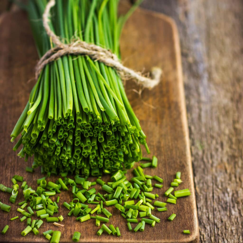 Bunch of Chives on a Wooden Cutting Board