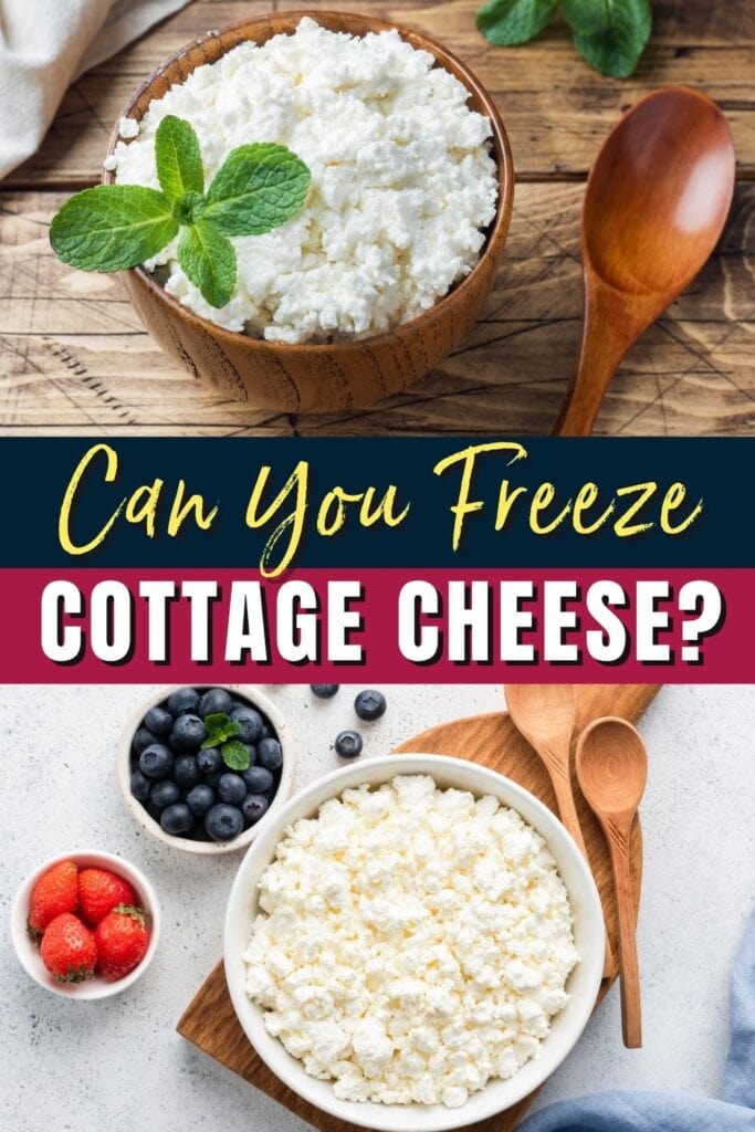 Can You Freeze Cottage Cheese?