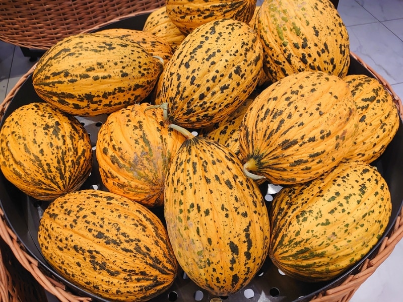Ripe Casaba Melons in a Basket