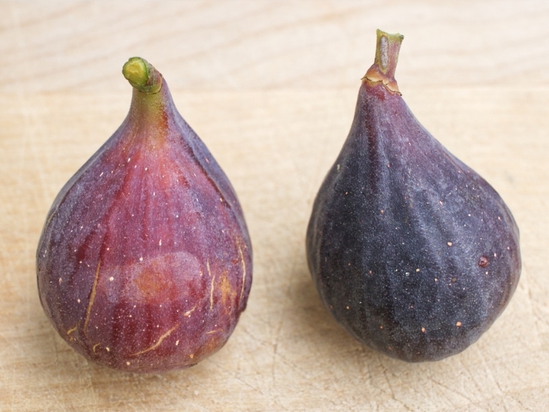 Ripe Chicago Hardy Figs