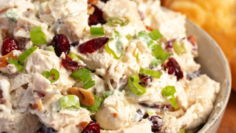 Creamy and Tangy Cranberry Chicken Salad with Green Onions Served with Bread
