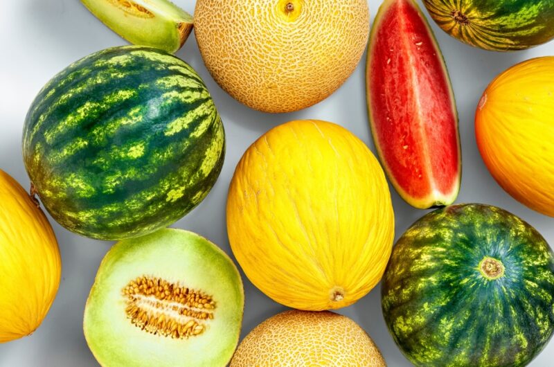 25 Types of Melon to Try (Common and Rare)