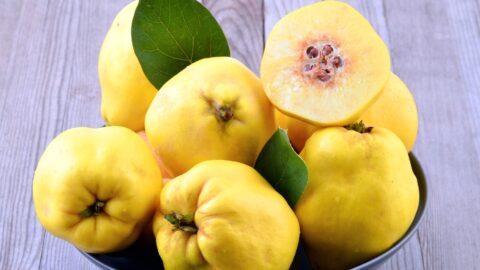 Fresh Organic Yellow Quince Fruit