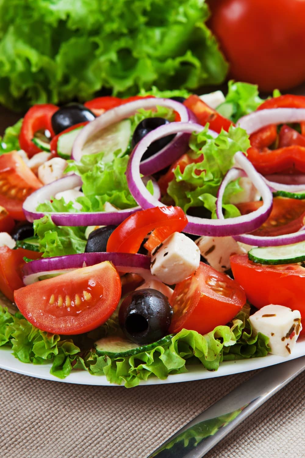 Healthy Salad with Lettuce, Tomatoes, Onions and Cheese