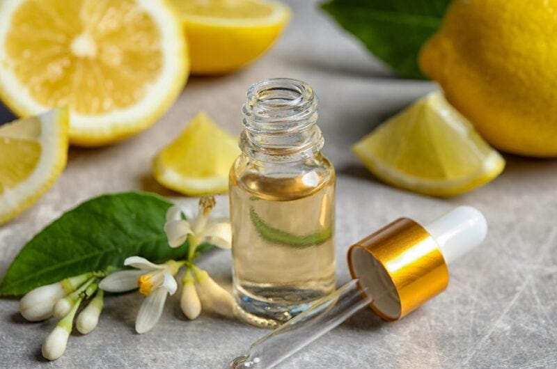 7 Best Lemon Extract Substitutes with Similar Citrus Flavor
