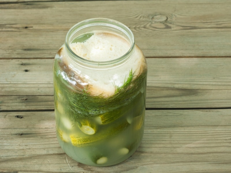 Hungarian Pickles in a Glass Jar with Dill and a Slice of White Bread Sitting on the Pickling Liquid
