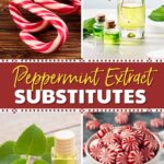 Peppermint Extract Substitutes