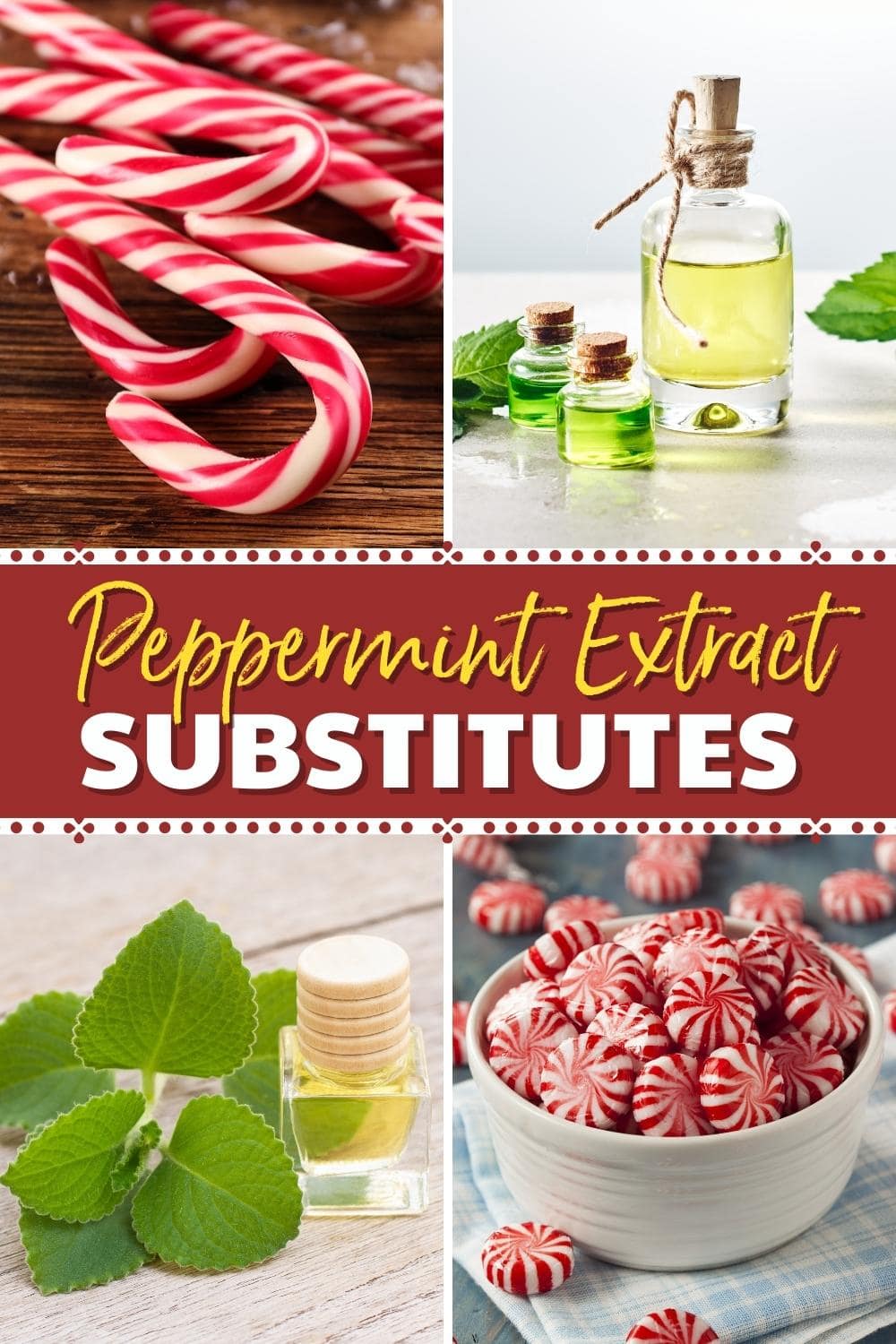 10-best-peppermint-extract-substitutes-insanely-good