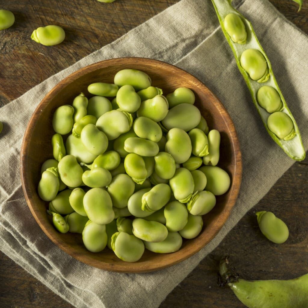 What Are Fava Beans? (All You Need To Know) featuring Raw Fresh Fava Beans on a Wooden Bowl