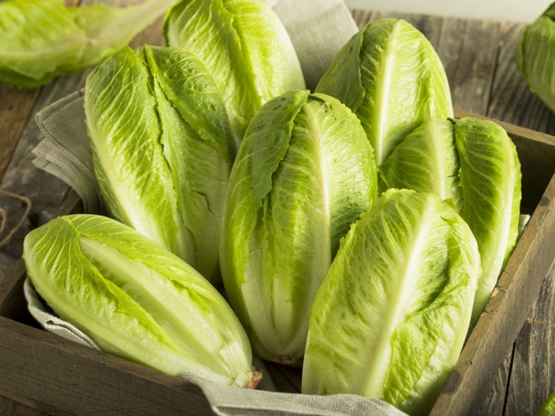 Bunch of Romaine Lettuce Hearts in a Wooden Box