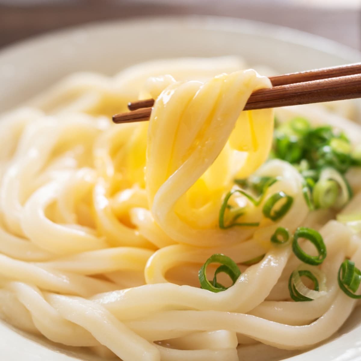 What Are Udon Noodles? (What You Need To Know)