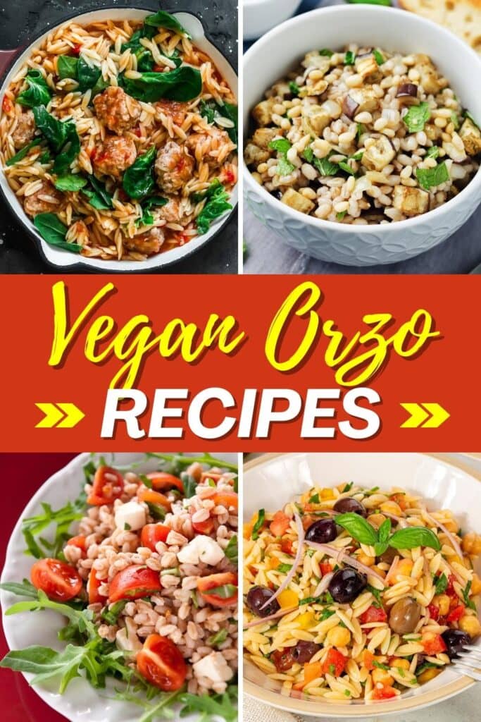 Vegan Orzo Recipes