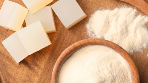 Agar Agar Jelly Cubes and Powder