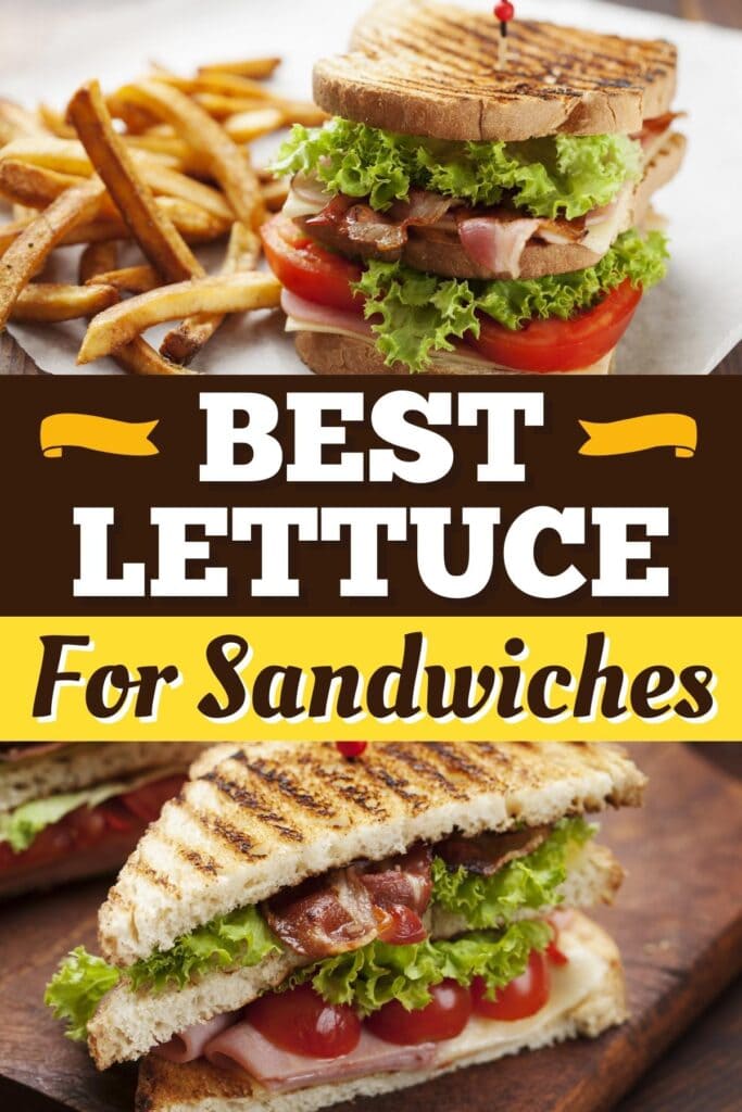 Best Lettuce for Sandwiches