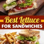 Best Lettuce for Sandwiches