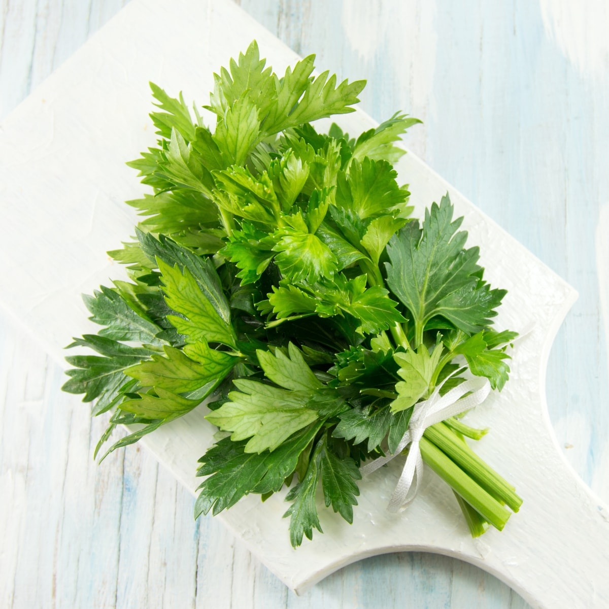 Fresh Celery Leaves Tied on a Wooden Cutting Board