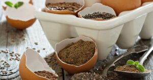 Chia and Flax Seeds - Vegan Egg Substitutes