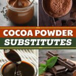 Cocoa Powder Substitutes