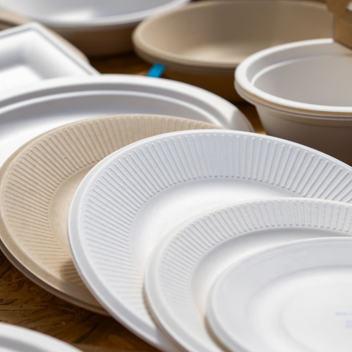 Different Types of Paper Plates