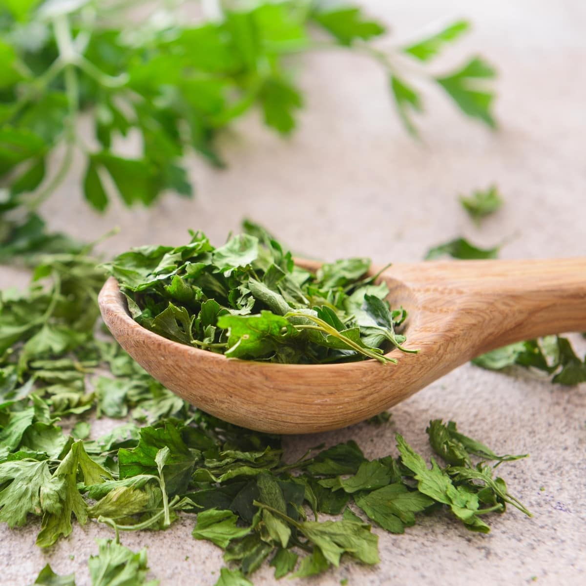 Dried Parsley on a Small Wooden Spoon
