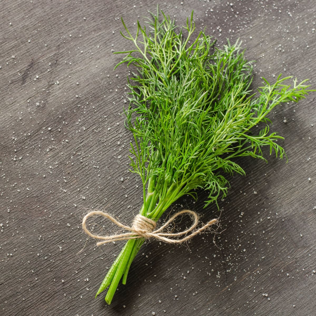 Bunch of Rope Tied Fresh Dill