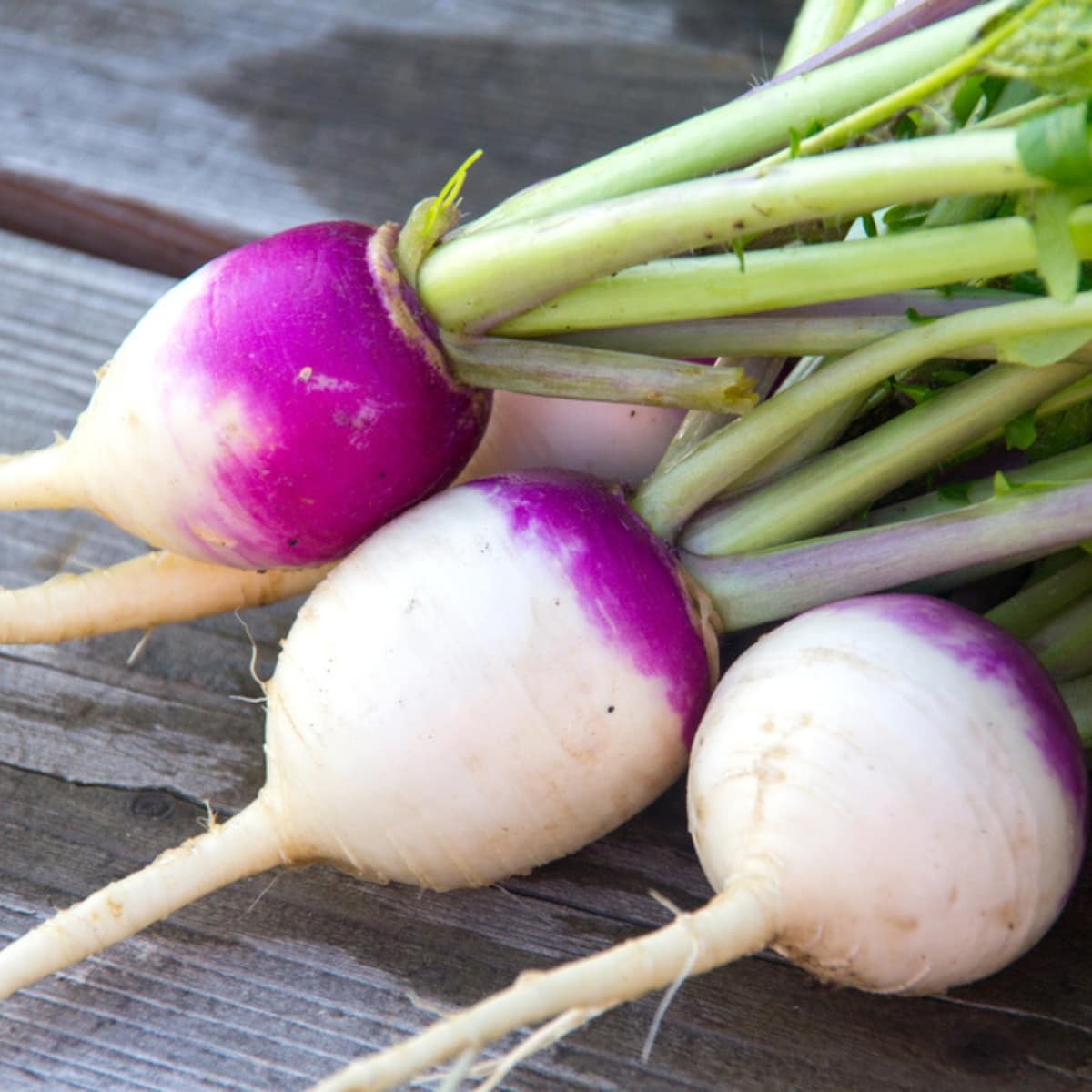 Fresh Turnips on a Wooden Table