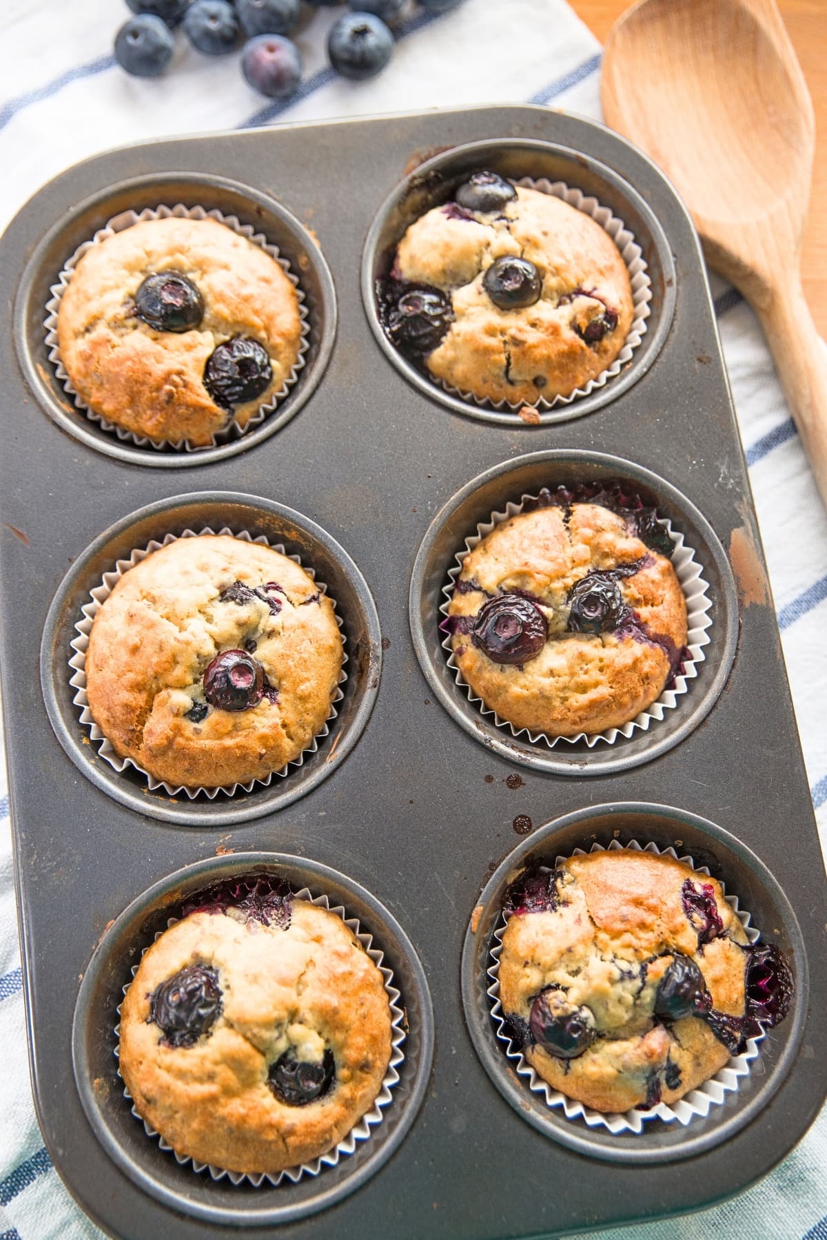 Jordan Marsh Blueberry Muffins in a Muffin Tin, Fresh Out of the Oven