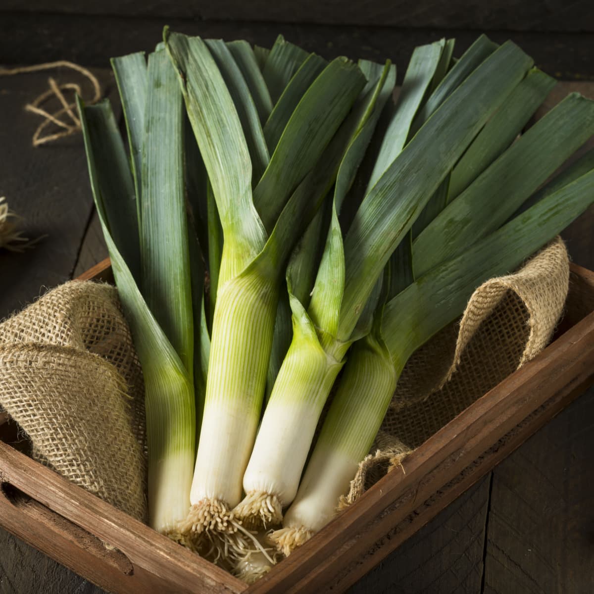 Fresh Leeks on a Wooden Box with Burlap
