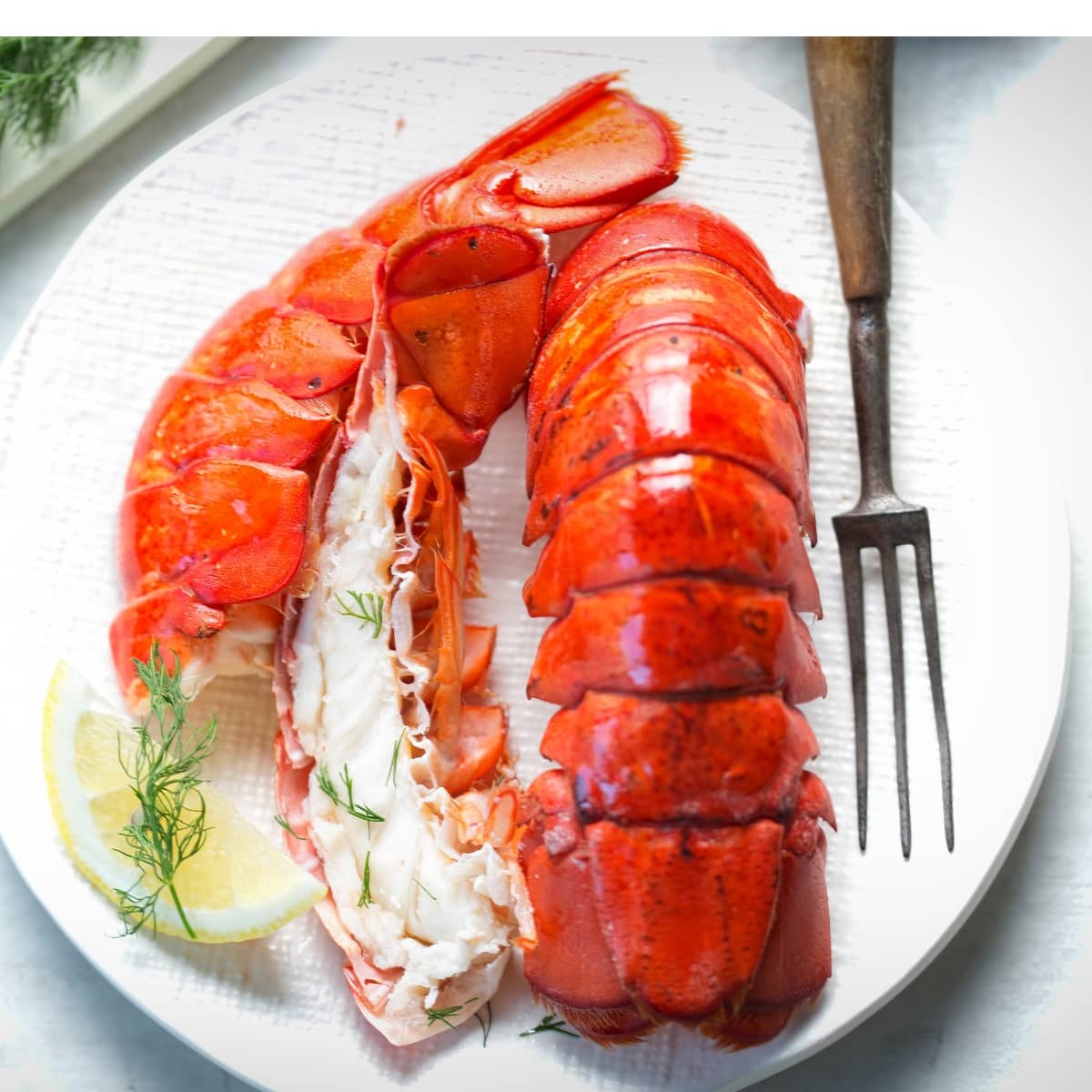 Cooked Lobster Served on a Plate