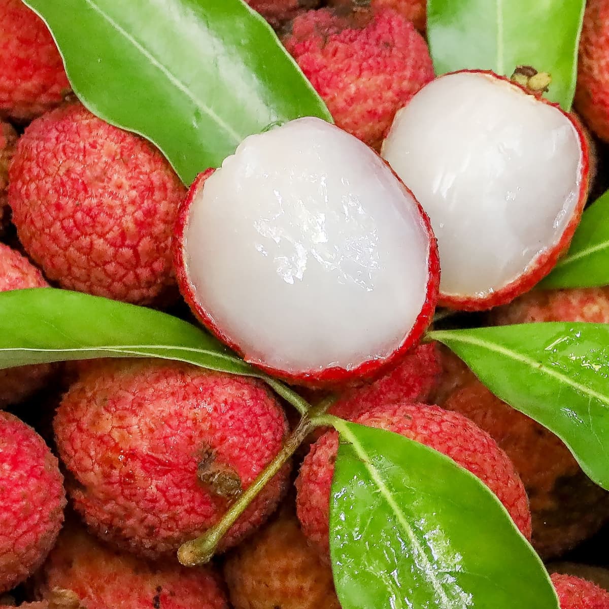 Close Up of a Bunch of Ripe Lychee, Some Whole and Two Peeled