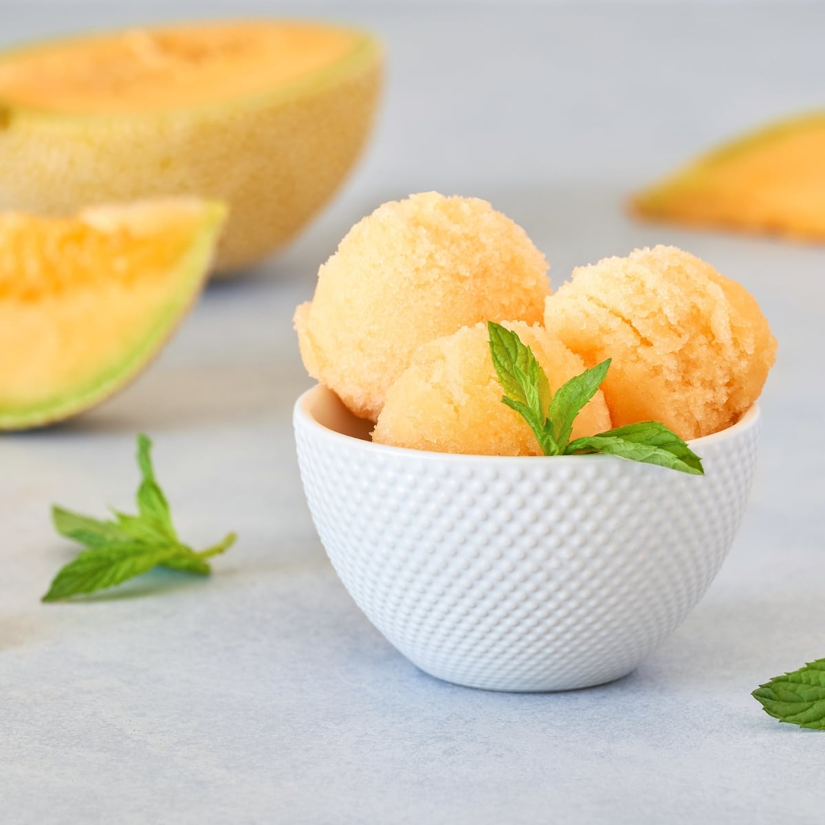 Melon Sorbet Scoops on a  Bowl